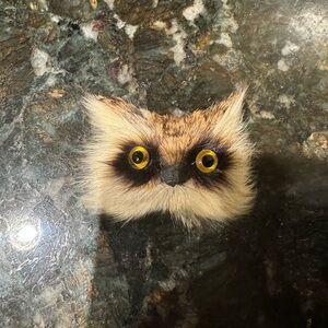 Vintage Brooch Owl Realistic Bird Head Furry Glass Eye‎ Figural